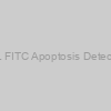 TUNEL FITC Apoptosis Detection Kit